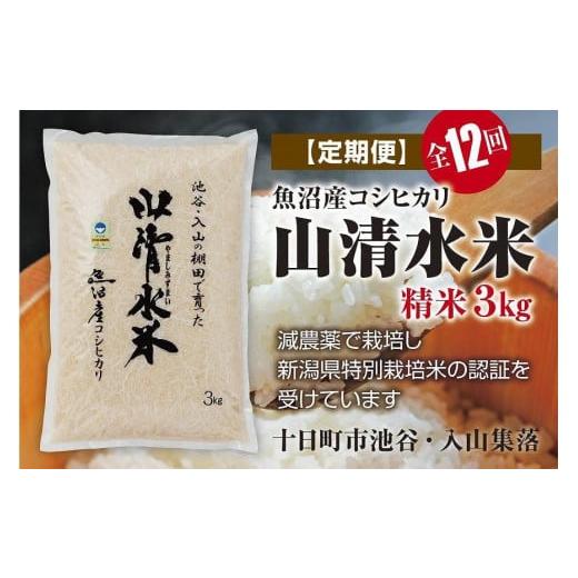 ふるさと納税 新潟県 十日町市 精米3kg　新潟県魚沼産コシヒカリ「山清水米」