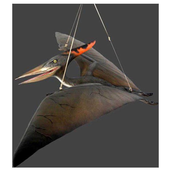 【goodtaniku】翼竜　プテラノドン　OC goodtaniku】翼竜 プテラノドン OC 【公式通販】