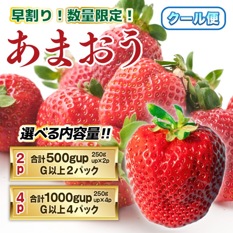 あまおう いちご 500g-1000g 福岡県産 イチゴ 秀品 ギフト 贈り物 プレゼント お祝い 果物 フルーツ 先行予約 クール便