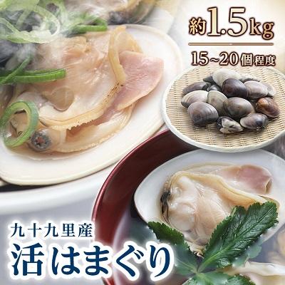 ふるさと納税 旭市 九十九里産　活はまぐり　約1.5kg