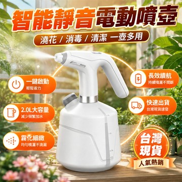 台灣出貨🚀噴壺 電動噴壺 噴水壺 電動噴灑壺 電動噴霧壺 澆水壺 電動噴水壺 洗車噴霧壺 園藝噴壺 灑水器 噴霧器