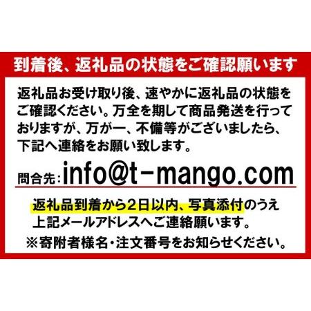 ふるさと納税 2024年発送 先行予約  豊見城市産完熟濃厚アップルマンゴー4kg（10〜12玉） 沖縄県豊見城市