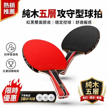 4星乒乓球拍 雙面反膠 桐木球拍 橫拍 直拍 桌球拍 桌球拍套 四星乒乓球拍 長柄橫拍 短柄直拍 桌球 球拍 開發票