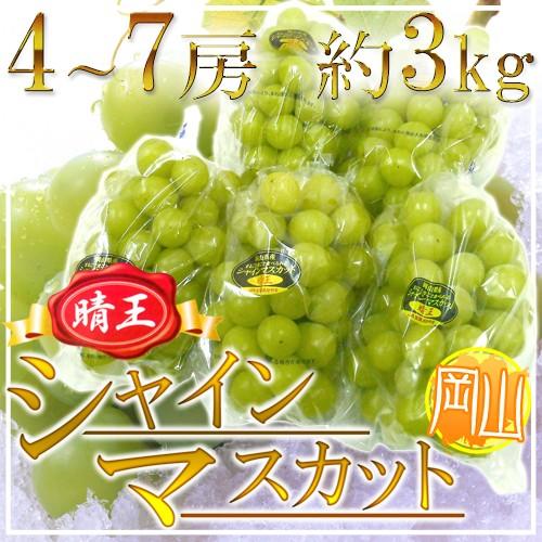 岡山産 ”シャインマスカット「晴王」” 4〜7房 約3kg ぶどう 送料無料