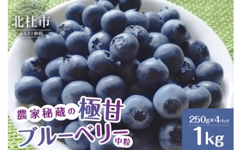 7月～9月発送！農家秘蔵の極甘ブルーベリー　中粒1kg（250g×4パック）