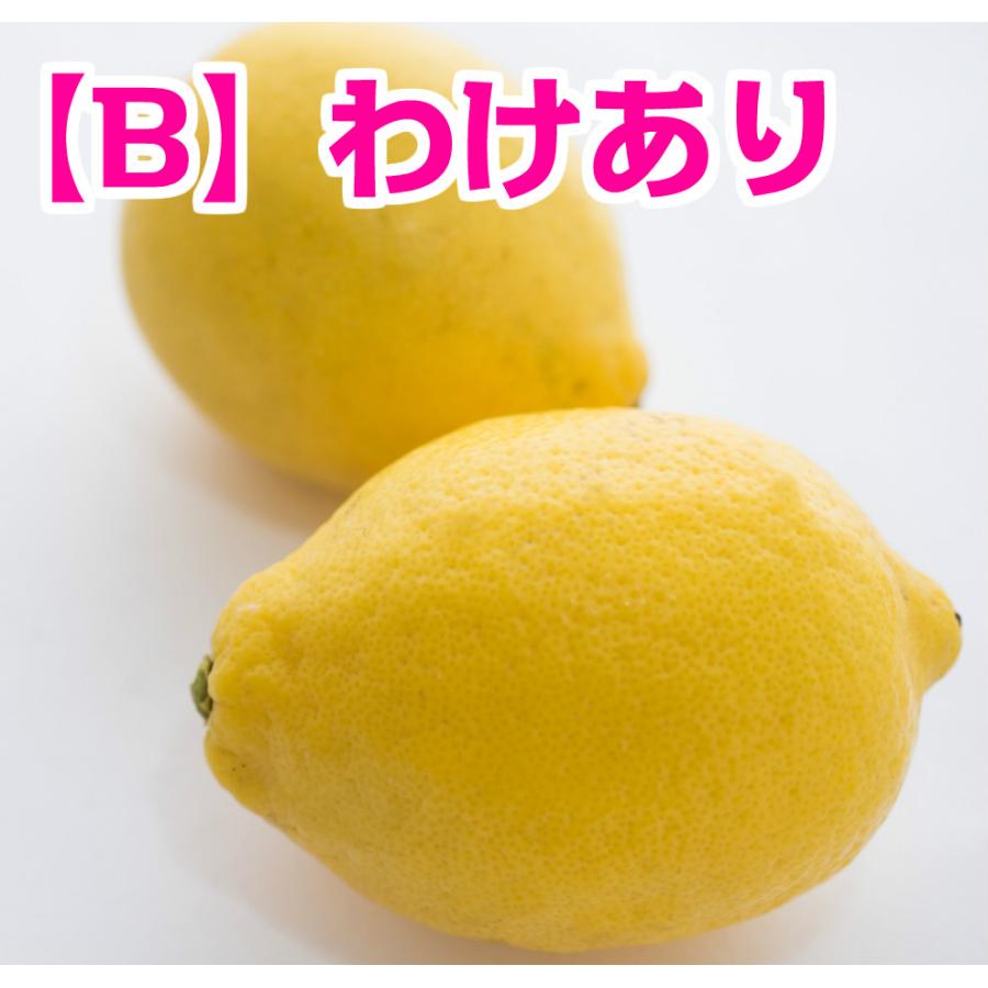 広島県産レモンわけあり　2kg　キズあり　送料無料　柑橘栽培に適した瀬戸内海　瀬戸内産　季節により薫り・美味しさの違いをお楽しみに！