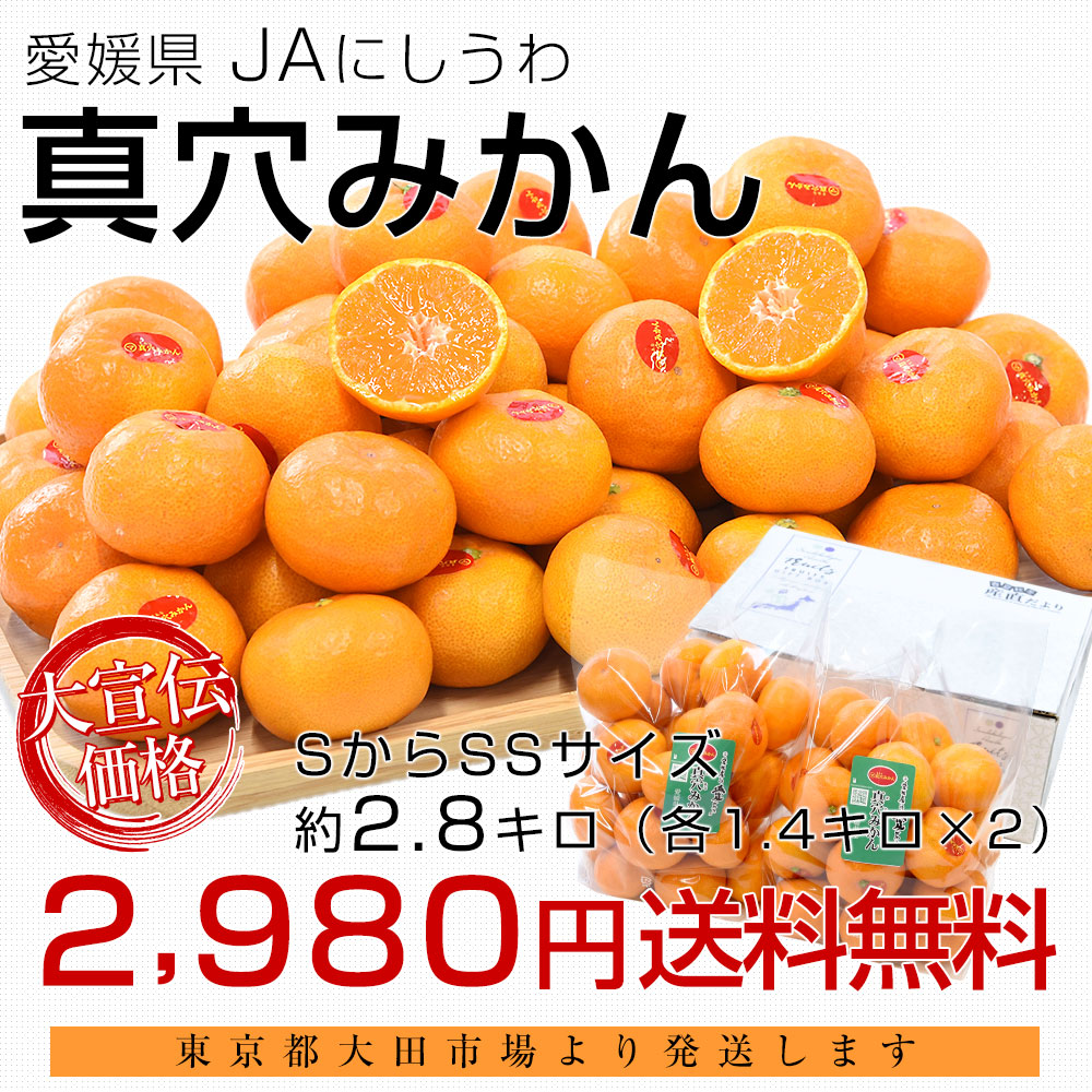 愛媛県 JAにしうわ 真穴みかん 約2.8キロ(1.4キロ×2袋) SからSSサイズ 送料無料 ミカン 蜜柑 まあなみかん 愛媛みかん 市場発送