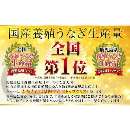 ふるさと納税 霧島湧水鰻の蒲焼き 160g以上×5尾＜計800g以上＞きざみ鰻50g付き! c0-103-kizami 鹿児島県志布志市