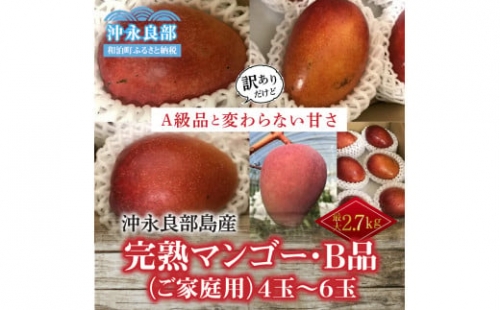 安くて美味しい・完熟マンゴー(ご家庭用)2Kg 4玉～6玉 