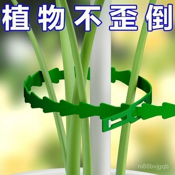 臺灣有貨⚡可調節魚骨紮帶 捆綁綫 園藝紮帶 園藝束帶 盆栽裝飾 園藝綁帶 多用途園林綁 樹藤蔓植物固定 園藝 綁藤固定器