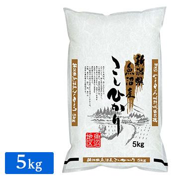 ○ 令和5年産 新潟県 魚沼産 コシヒカリ 5kg(1袋) 新米