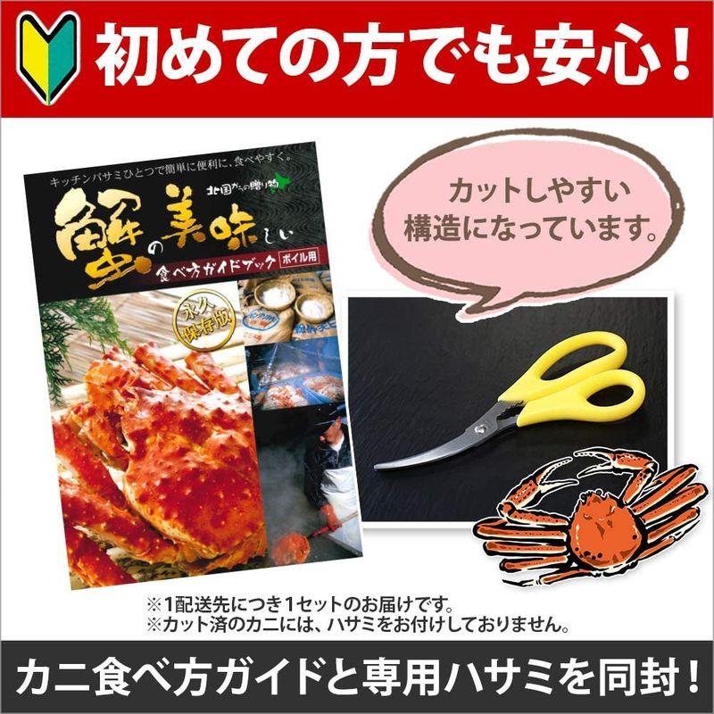 カニ ボイル かに 蟹 ズワイガニ 足 800g前後 ＆ いくら 醤油漬け 80g 2個 ＆ ホタテ 玉冷 貝柱 300g ハサミ 北国から