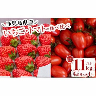 No.853 ＜先行予約受付中！2022年12月下旬～2023年6月15日の間に発送予定＞いちご＆ミニトマト食べ比べセット(合計1.1kg以上・いちご約280g×2P、ミニトマト約300g×2P) 【アグリシア】