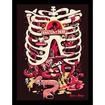 【瑞克和莫蒂】Rick and Morty -人體公園（Anatomy Park） 40X30 cm複製畫