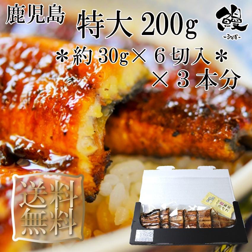 うなぎ蒲焼 6切カット 特大 1本200g×3本分 御歳暮 ギフト プレゼント 送料無料 鹿児島産 鰻