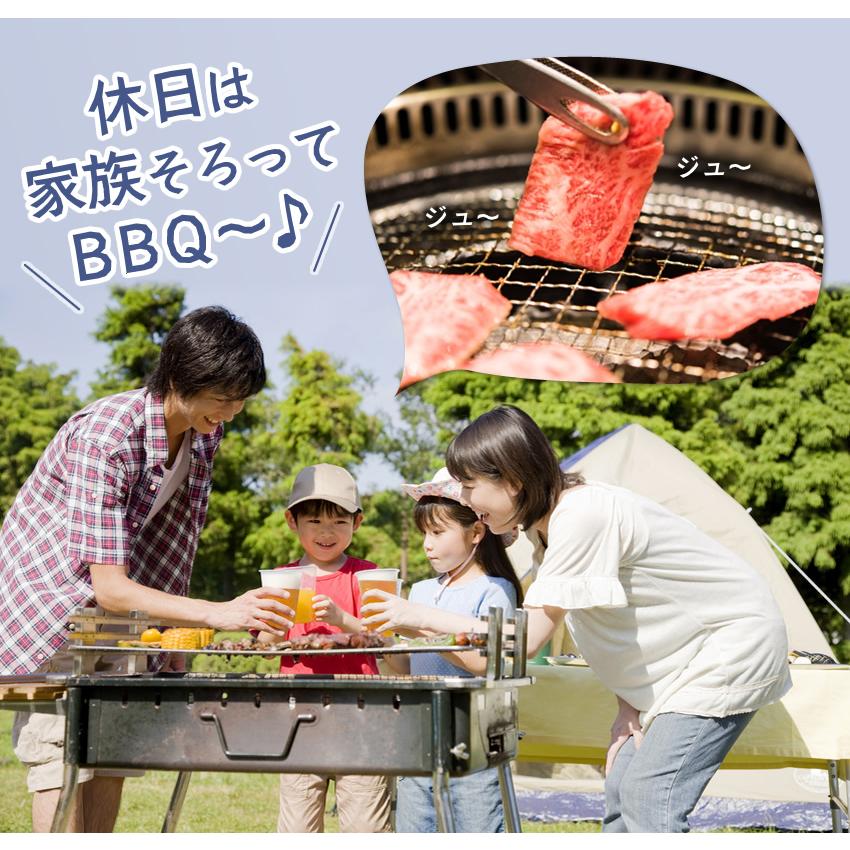 お試し 焼肉 牛ハラミ タレ漬け200g 冷凍食品 バーベキュー BBQ ホルモン 牛肉 焼き肉 大阪 ギフト