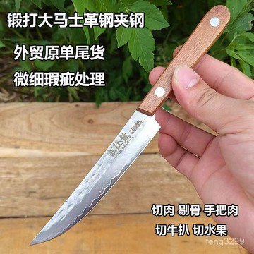 67層鍛打大馬士革夾鋼鋒利水果刀懞古手把肉剔骨刀家用割肉牛扒刀 WWSE
