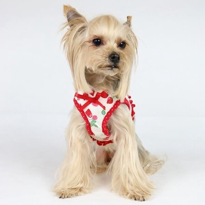 犬 ハーネス 小型犬 ４ｓ 服 おしゃれ ブランド 脱げない 簡単装着 ソフト 猫 犬用ハーネス 胴輪 苺柄 ベストハーネス 赤 メール便可 通販 Lineポイント最大get Lineショッピング