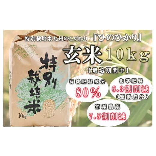 ふるさと納税 長崎県 諫早市 令和5年産九州のこだわり「ひのひかり」玄米10kg