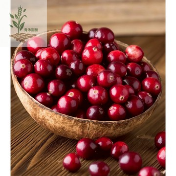 青禾園藝（曼越橘種子）MY-1經典品種 蔓越莓 小紅莓酸果莓 蔓越橘種子 紅豆莓果 盆栽地栽高產漿果種子#自留種