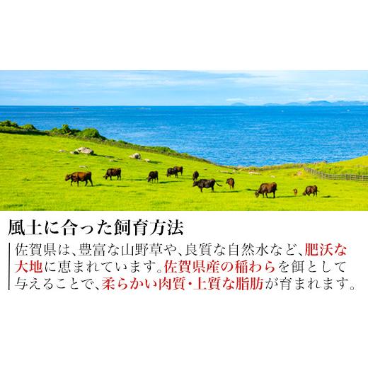 ふるさと納税 佐賀県 唐津市 佐賀牛切り落とし 500g (佐賀牛ウデ モモ バラ肉のいずれか) すき焼き しゃぶしゃぶ ギフト 「2023年 令和5年」