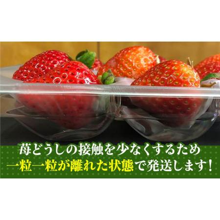 ふるさと納税 農家直送 朝採り新鮮いちご約270g×2パック＜株式会社HFutures＞ 那珂川市 .. 福岡県那珂川市