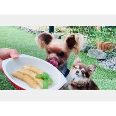 ふるさと納税 FB023_犬の無添加おかず☆燻製の香りがたまらないスモークチキン＆いのししソーセージ＆スモークチキンハム 佐賀県みやき町