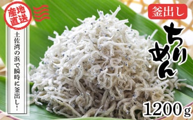 釜出しちりめん（しらす）約1.2kg（約300g×4袋） 鮮度日本一を目指します！浜で瞬時に釜出し