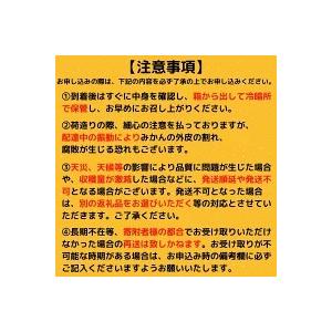 ふるさと納税 文旦 南国 高知 贈答 土佐文旦 6kg 柑橘 フルーツ みかん 産地直送 土佐文旦 須崎市 高知県 高知県須崎市