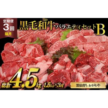 ふるさと納税 定期便 3回 牛肉 雲仙育ち おがわ牛 バラエティーセットB 総計4.5kg(1.5kg×3回) 黒毛和牛 冷凍   焼肉おがわ   長崎県 雲仙市 長崎県雲仙市