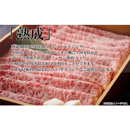 ふるさと納税 宮崎牛 赤身 焼肉 セット 500g ステーキソース付き 牛肉 ギフト箱入り A4 ブランド牛 冷凍 送料無料 国産 牛肉 南海グリル 贈り物 .. 宮崎県美郷町