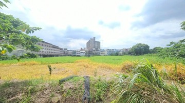 桃園市八德區大明段農牧用地｜桃園市八德區大明段