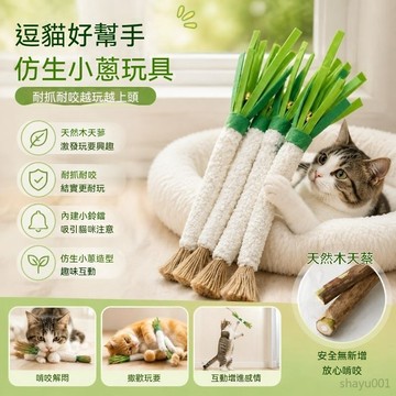木天蓼逗貓棒 小蔥逗貓棒 鈴鐺小蔥磨牙棒 木天蓼小蔥逗貓棒 貓咪磨牙棒 寵物磨牙棒 逗貓棒 逗貓玩具