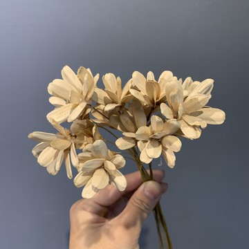 乾燥花 乾燥花材 索拉花 小雛菊 瓜子花 通草花 手工花 手作素材 乾燥花素材 舊 蝦皮 購物 Line購物