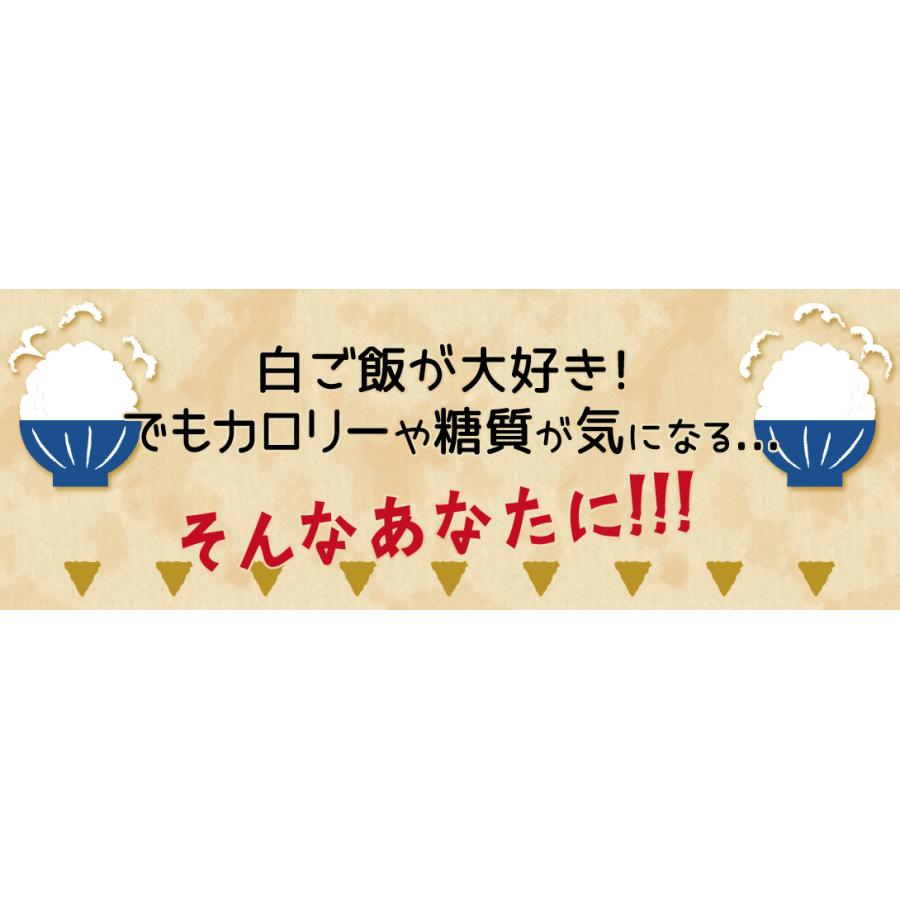 こんにゃく米 600g (60g×10袋) 蒟蒻 米 食品 送料無料 ポスト投函