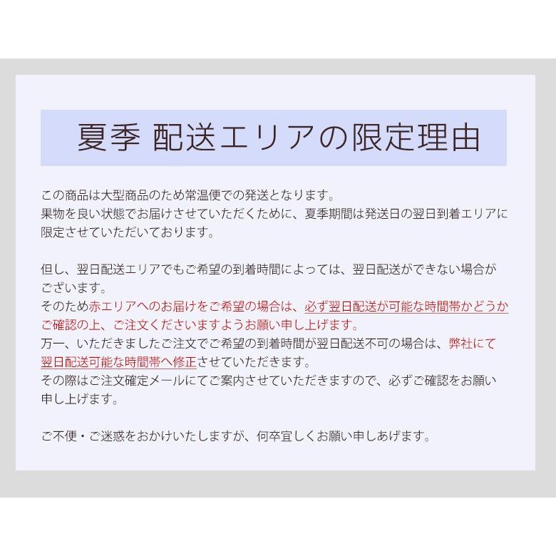 果物 盛りカゴ ast10 御供   フルーツ くだもの 果物