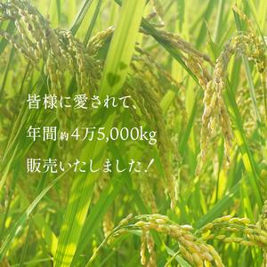 ふるさと納税  令和5年産 富山県産 コシヒカリ 《寿》 ５kg 富山県 氷見市 こしひかり 合計 30kg お届け 富山県氷見市