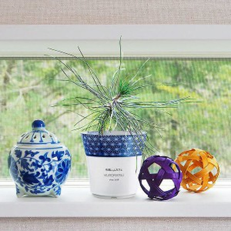 名入れ花瓶 敬老の日 父の日 名入れ無料 染付小紋盆栽セット 黒松 敬老の日 手作りキット 送料無料 通販 Lineポイント最大1 0 Get Lineショッピング