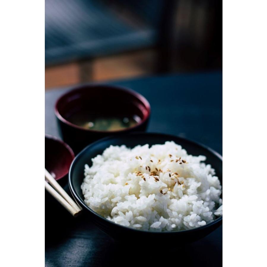 2023年産新米 コシヒカリ お米 精米 令和5年 茨城県産 5kg×2袋