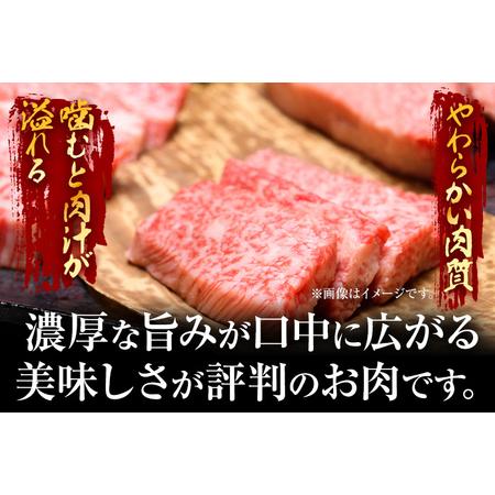 ふるさと納税 訳あり！博多和牛焼肉切り落とし　1kg（500g×2p） 福岡県田川市