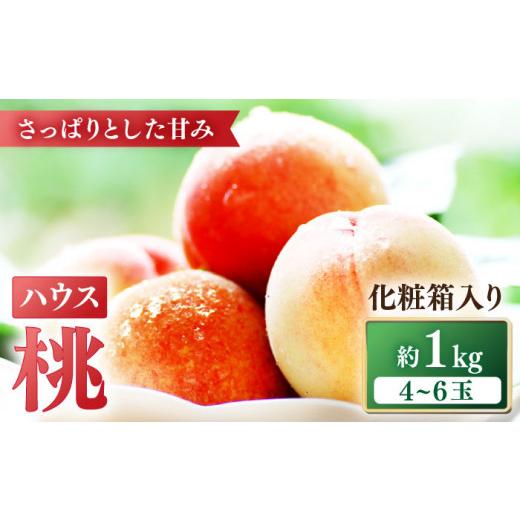 ふるさと納税 長崎県 南島原市 南島原の特別栽培ハウス桃 約1kg 化粧箱 ／ 桃 もも フルーツ 果物 ／ 南島原市 ／ ふくはちファー…