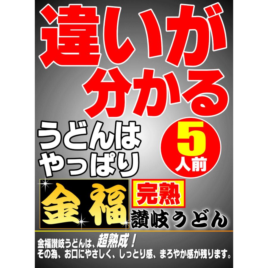 送料無料 うどん 金福完熟 讃岐うどん ！1人前食べ切り個包装タイプ！5食セット ネコポス お試し 讃岐 送料無 激安 さぬきうどん