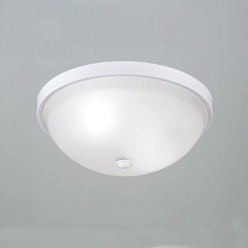 石紋玻璃吸頂二燈 B236-64-73169