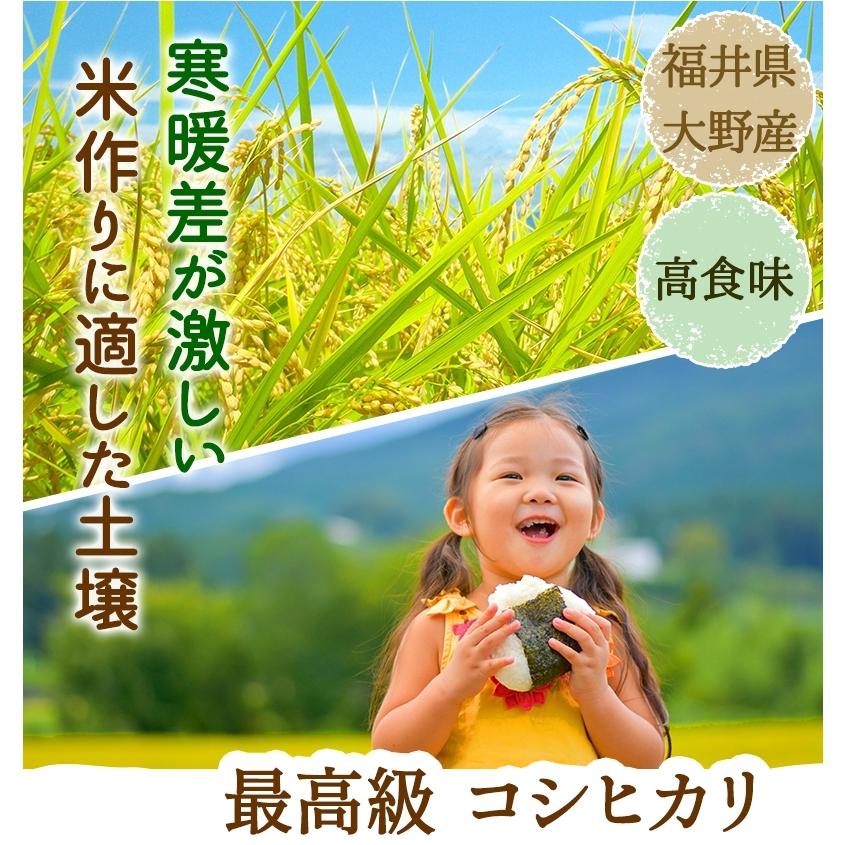 最高級コシヒカリ 令和4年福井県大野産 5kg ※米食味鑑定士鑑定済