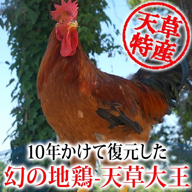 天草の平飼いたまご 1パック10個入り