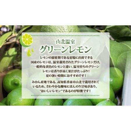 ふるさと納税 高知県産 山北温室グリーンレモン 約5kg(S〜Lサイズ)  果物 フルーツ 柑橘 のし対応可 レモン酎ハイ お酒 お菓子 料.. 高知県香南市