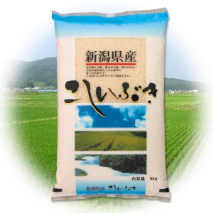 新潟産こしいぶき 新米 5kg 2023年度産 米 精米 白米 5キロ 食品 産地直送 お米 白米 代引 同梱不可