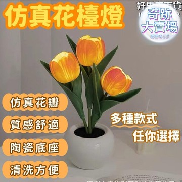 氛圍燈 氣氛燈 投影燈 小夜燈 裝飾燈 床頭燈 led氛圍燈 汽車氛圍燈 車內氣氛燈 戶外露營燈 車內氛圍