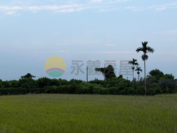 #〔雙高速匯聚 潛力金地〕埔心霖鳳段優質農地｜彰化縣埔心鄉霖鳳段