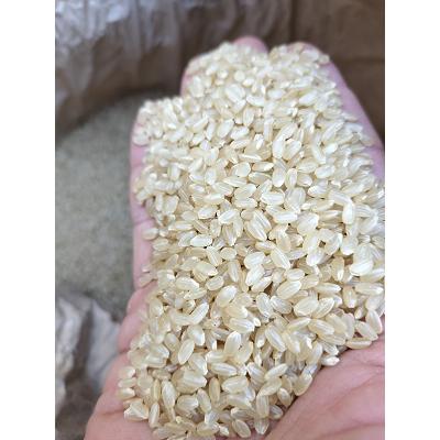 秋田県産　サキホコレ　減農薬米　玄米30kg(精米無料)　送料無料　※北海道、沖縄はプラス送料かかります。